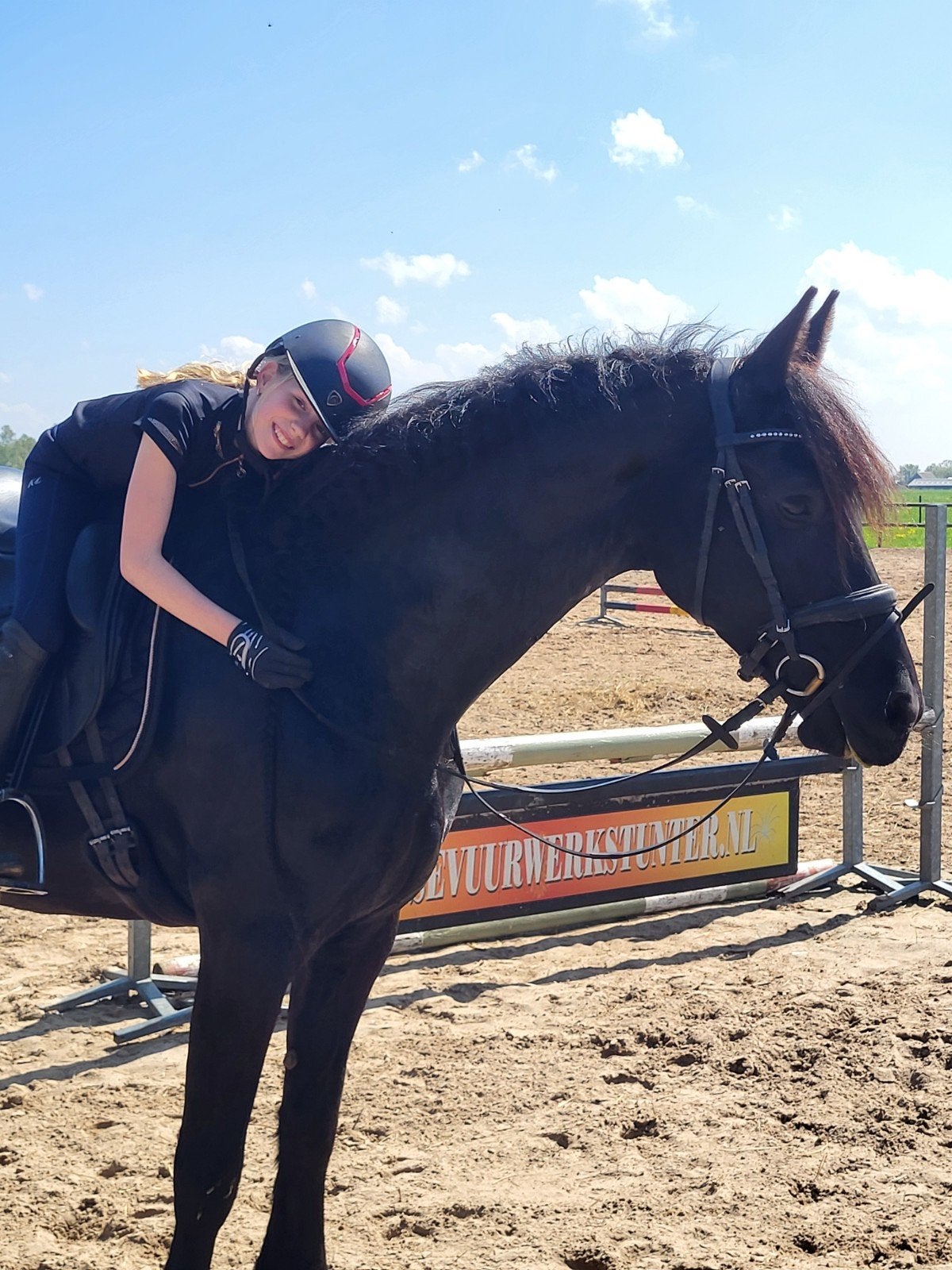 11 jarige friese merrie Epke x Fabe met hengstveulen van Nyk, Dieren en Toebehoren, Paarden, Merrie, Met stamboom, L, 11 jaar of ouder
