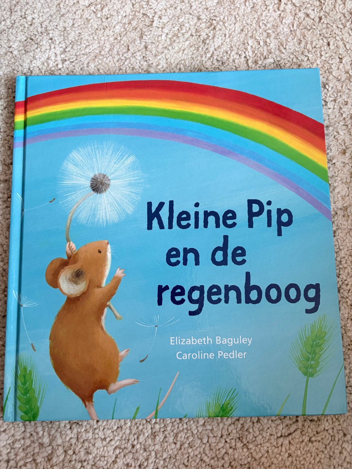Kleine Pip en de regenboog - Prentenboek over vriendschap, Boeken, Fictie algemeen, Jongen of Meisje, Ophalen of Verzenden, Zo goed als nieuw