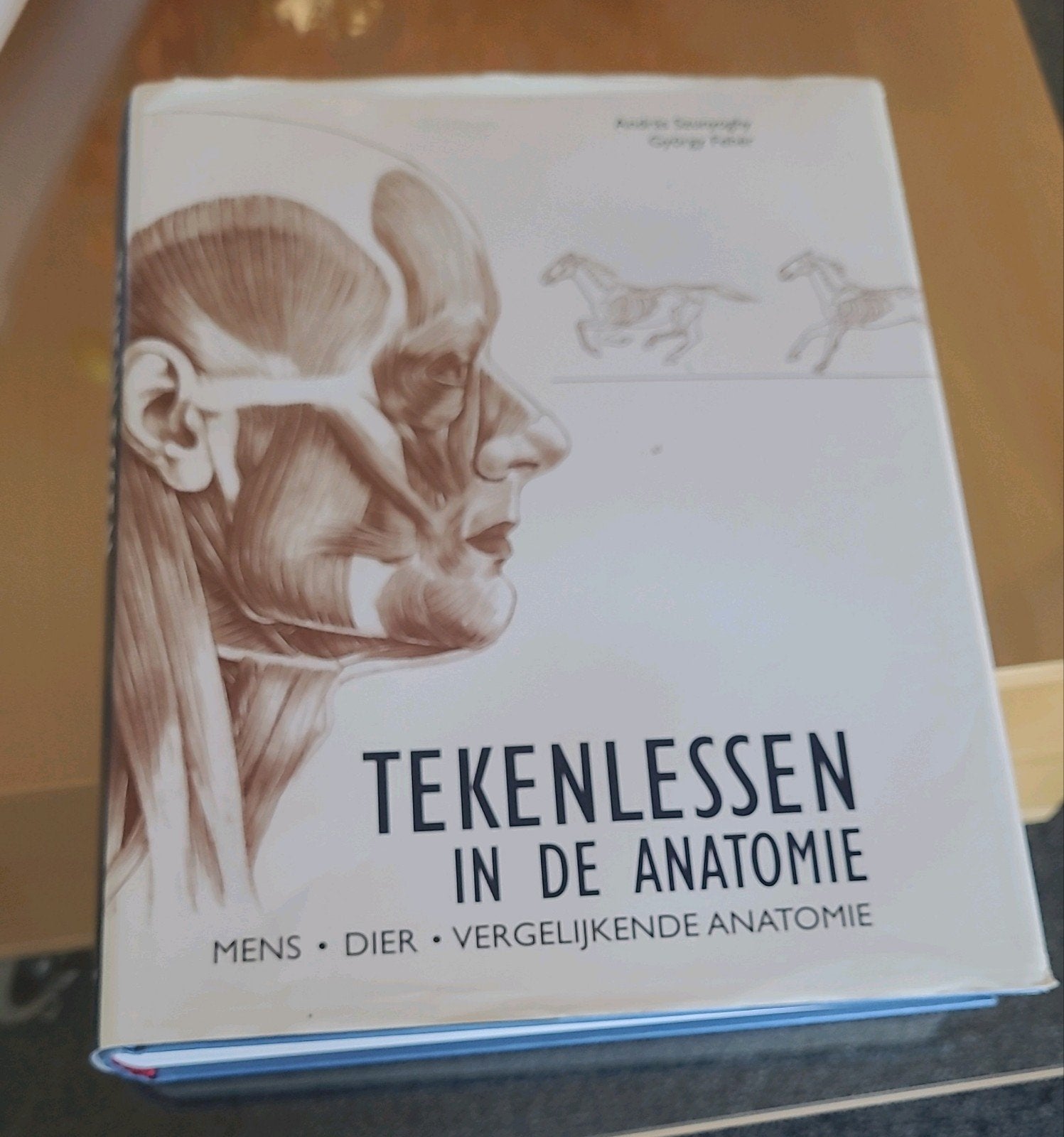 Tekenlessen in de anatomie könemann, Ophalen of Verzenden, Gelezen