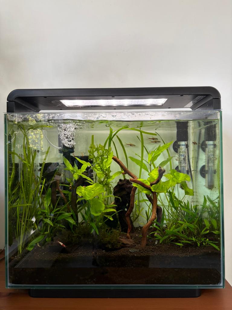 Aquarium Superfish Home45 zwart, Ophalen, Superfish, Inclusief vissen, Gevuld zoetwateraquarium