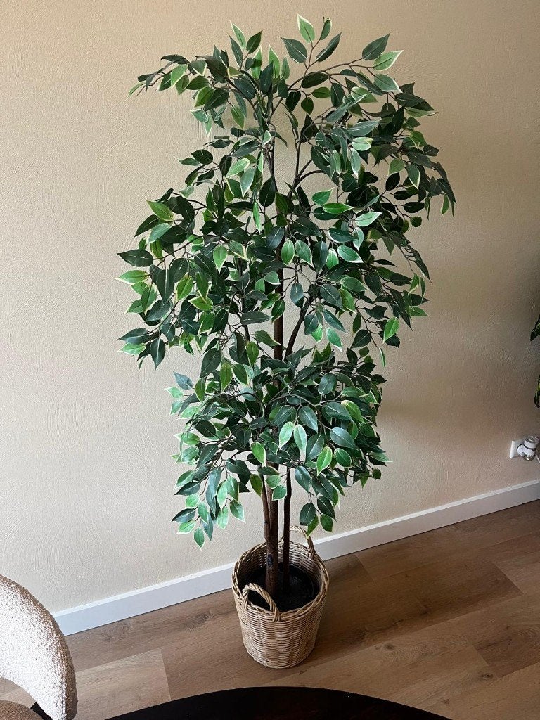 Kunstplant IKEA FEJKA, Ophalen, Binnen, Groen, Kunstplant