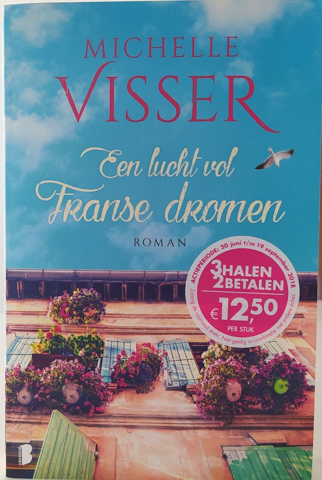 Een Lucht Vol Franse Dromen - Michelle Visser (Roman), Michelle Visser, Ophalen of Verzenden, Zo goed als nieuw, Nederland