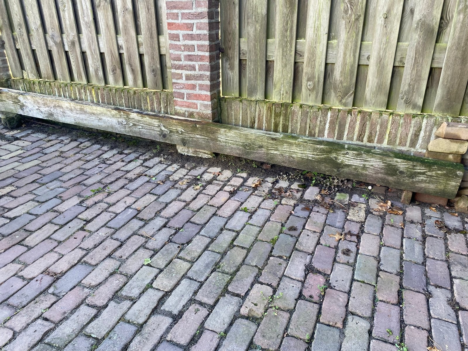 Douglas houten balk 400x20x10 cm, Ophalen, Gebruikt, Balk, Overige houtsoorten