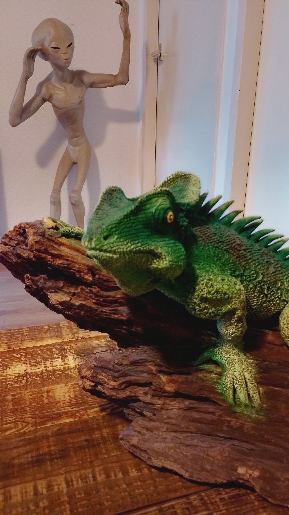 Gigantische tropische Leguaan gedetailleerd houtsnijwerk, Ophalen of Verzenden