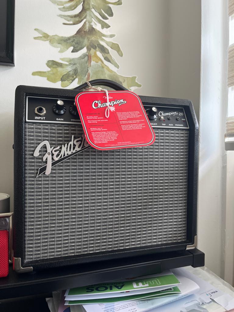 Fender Champion 20 - ZGAN, Muziek en Instrumenten, Versterkers | Bas en Gitaar, Ophalen, Zo goed als nieuw, Gitaar, Minder dan 50 watt
