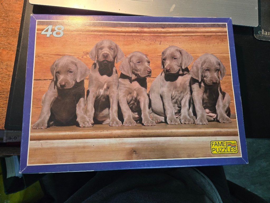 legpuzzel van Fame Puzzles Aantal stukjes: 48, Ophalen, Minder dan 500 stukjes, Gebruikt, Legpuzzel