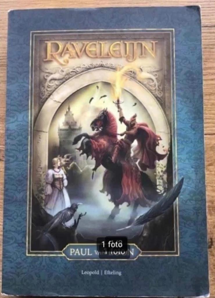 Raveleijn door Paul van Loon, Ophalen of Verzenden, Gebruikt, Overige typen