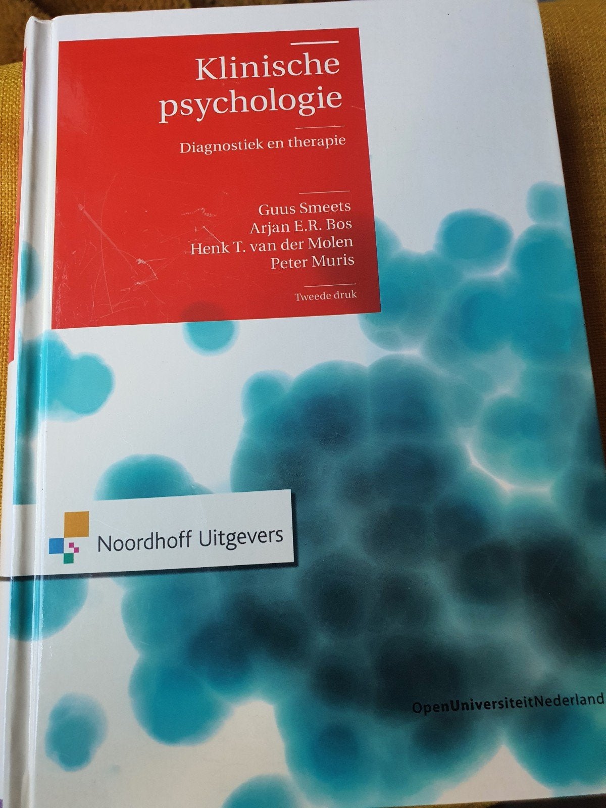 Klinische Psychologie – Diagnostiek en therapie, Guus Smeets, Arjan E.R. Bos, Henk T. van der Molen, Peter Muris, Ophalen of Verzenden