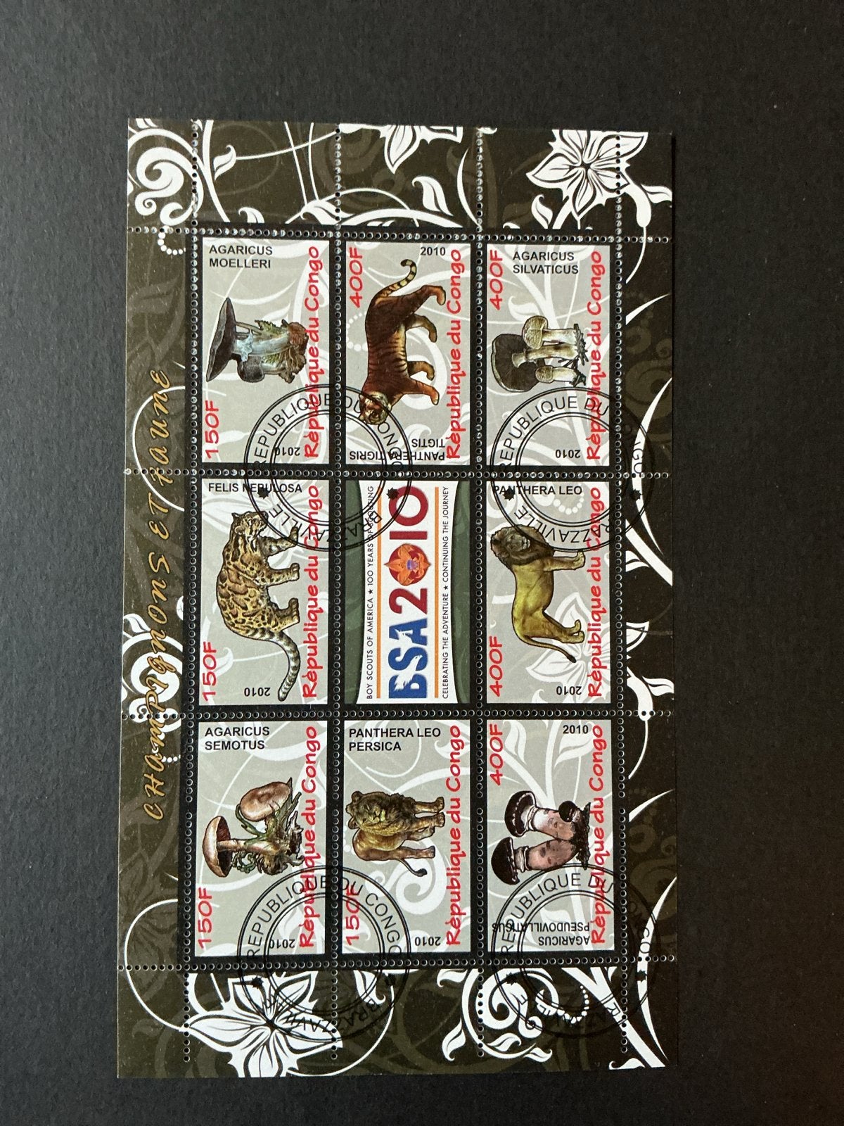 Wilde katten Congo - Dieren en Paddenstoelen (2010), Ophalen of Verzenden, Overige landen, Gestempeld