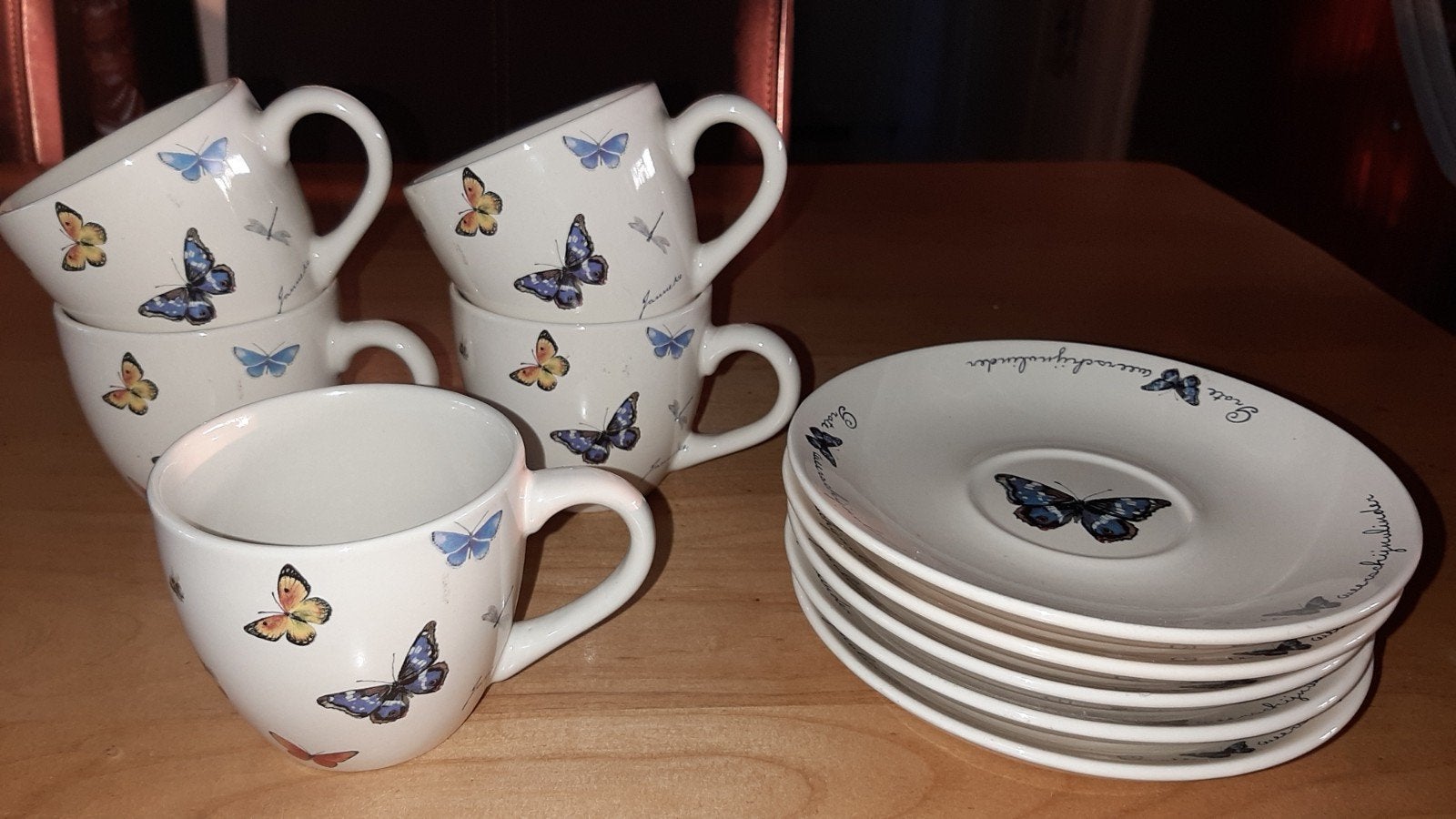 5 kop en schotels douwe egberts jet terstege, Ophalen, Zo goed als nieuw, Overige stijlen, Kop(pen) en/of Schotel(s)