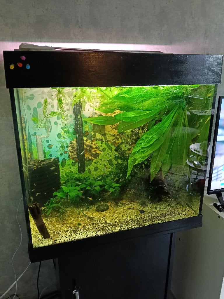 Mooi aquarium te koop met meubel en toebehoren, Ophalen, Gebruikt, Gevuld zoetwateraquarium, Inclusief deksel