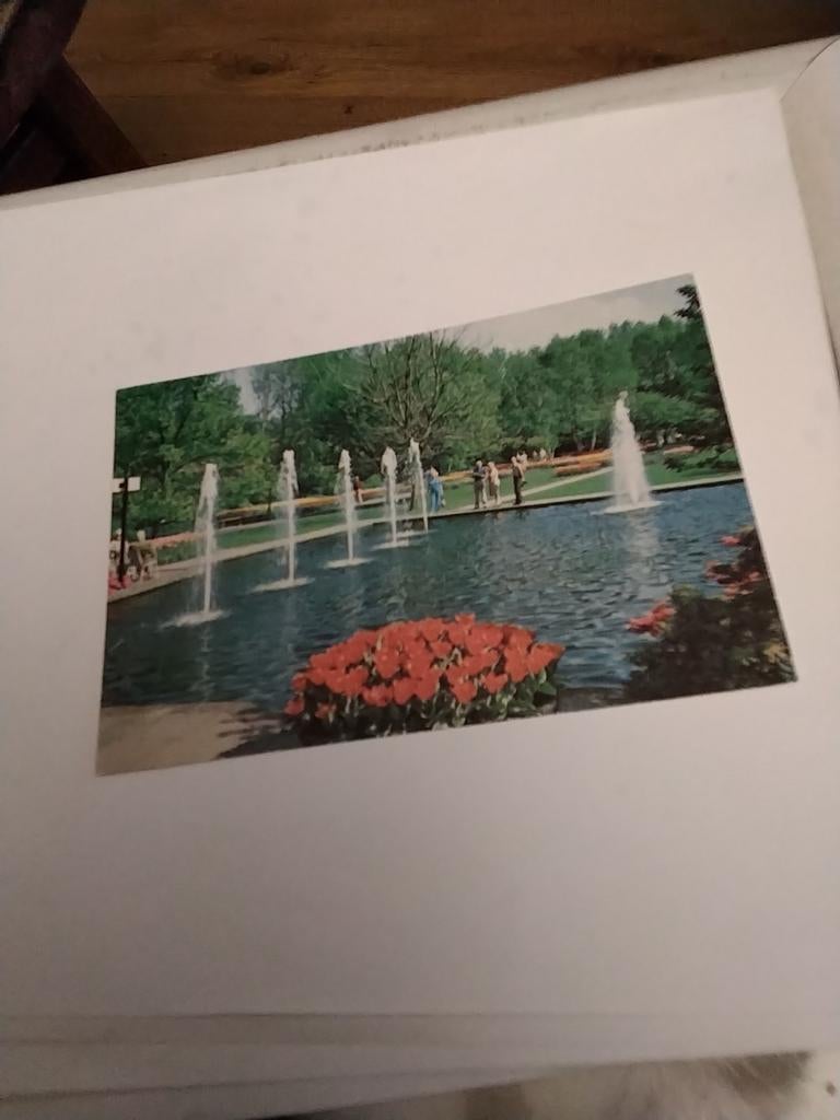 KEUKENHOF  LISSE 1988, Ophalen of Verzenden, 1980 tot heden