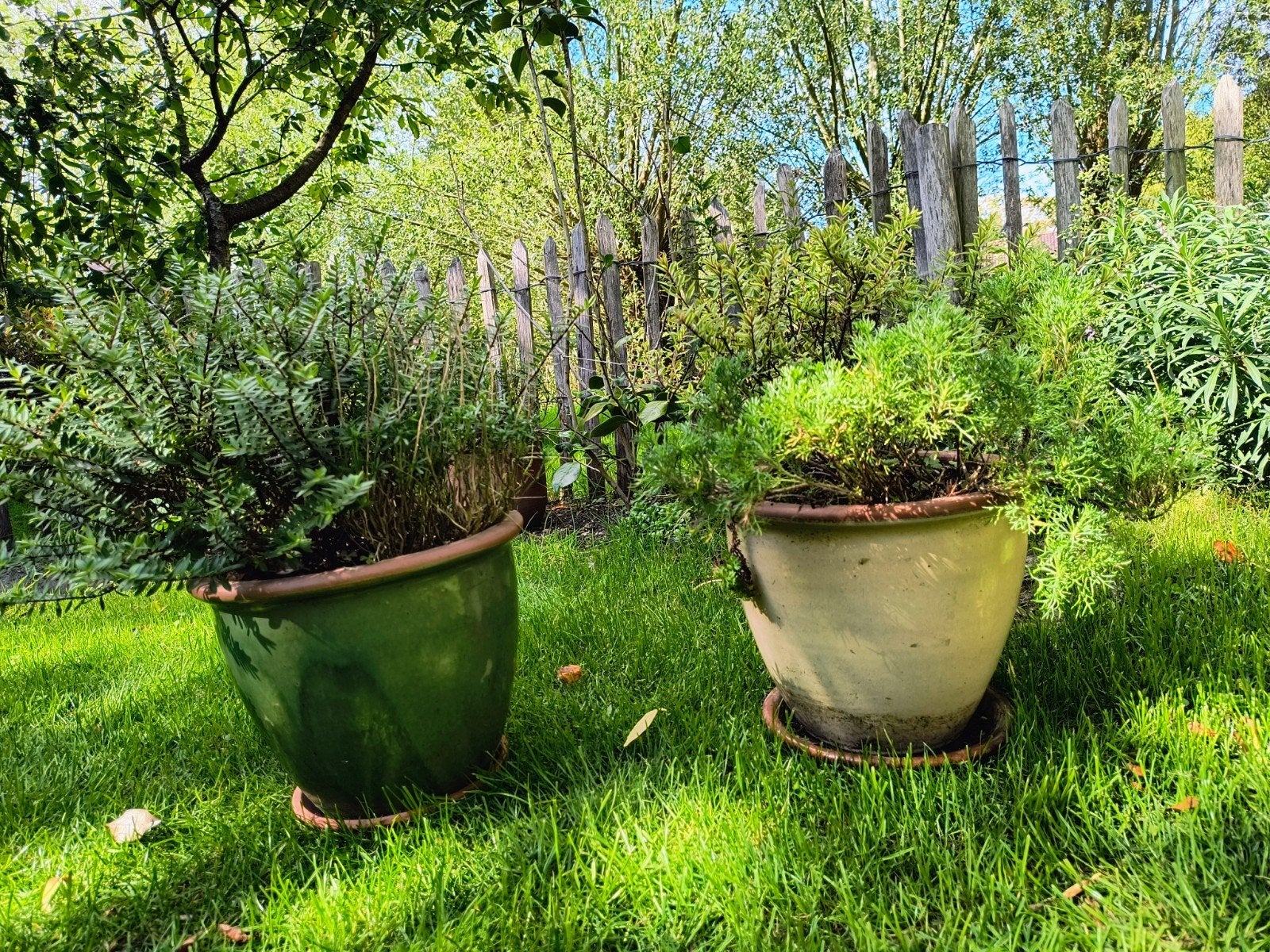 2 Bloempotten met schotel - Groen en Crème, Tuin en Terras, Gebruikt, Rond, Minder dan 40 cm, Binnen