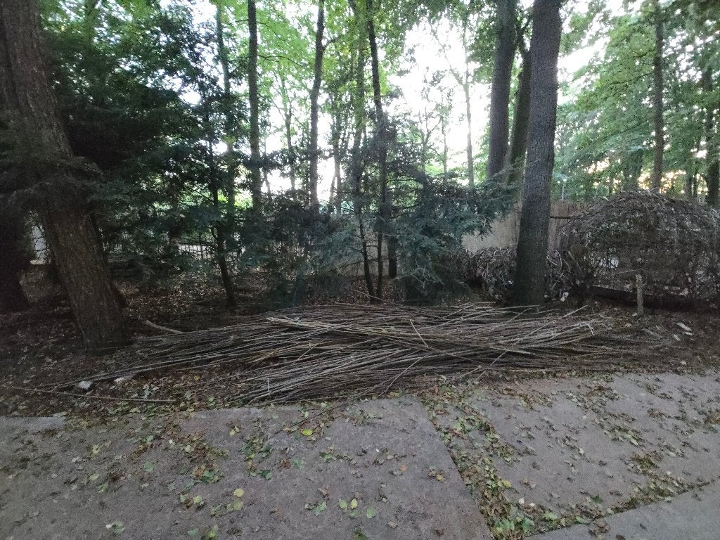 Wilgentenen gratis ophalen Amersfoort, Ophalen, Hout