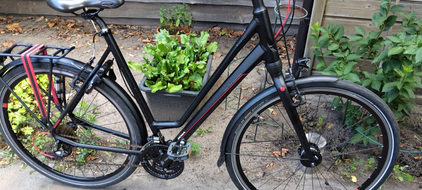 Koga F3 damesfiets, Ophalen of Verzenden, Gebruikt, Overige merken