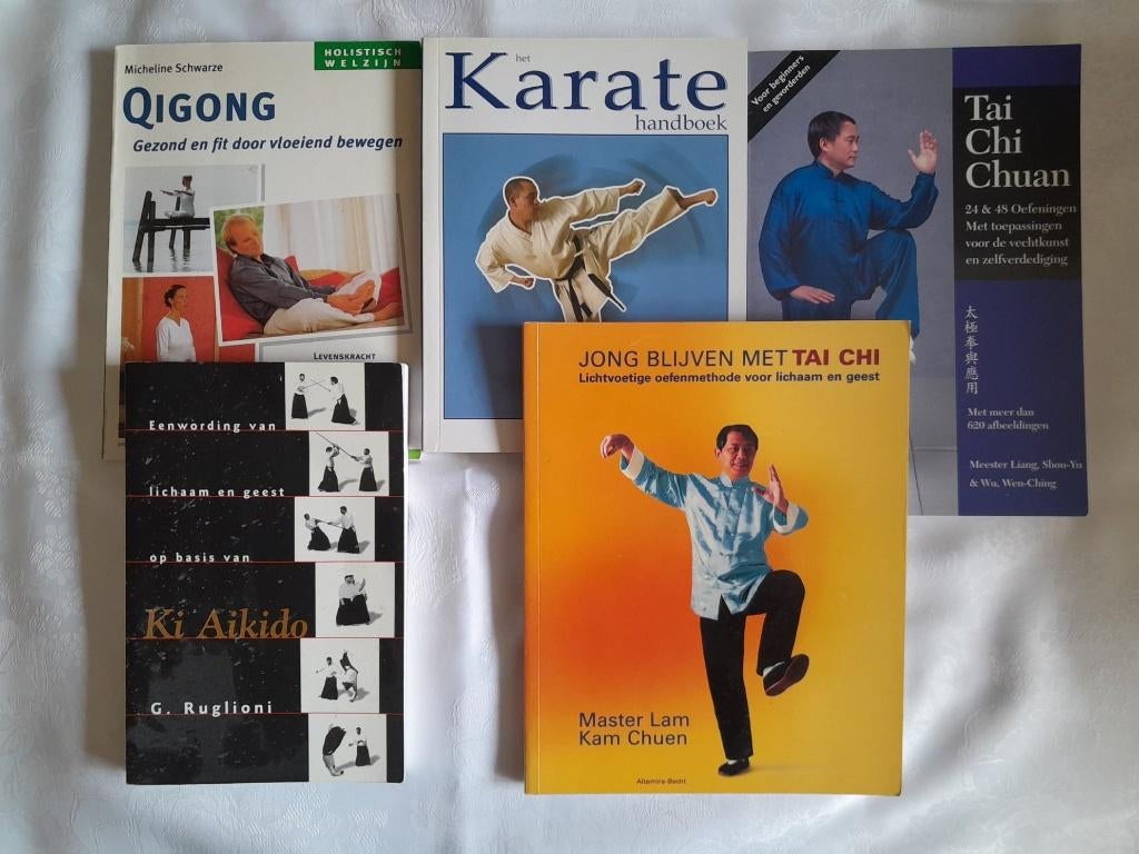 Krijgskunst Qigong Geest tai chi Aikido, Boeken, Ophalen of Verzenden, Zo goed als nieuw, Vechtsport