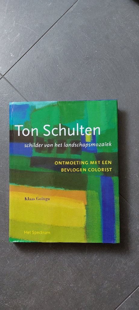 Ton Schulten - Schilder van het landschapsmoziek, Ophalen of Verzenden, Nieuw, Schilder- en Tekenkunst, Klaas Goinga