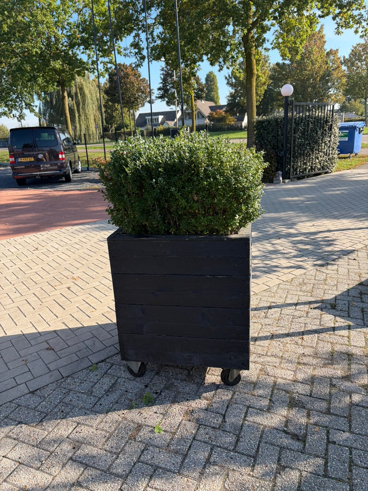 Plantenbak 80x80x80cm ilex planten 40/50 cm, Ophalen, Zo goed als nieuw, Hout