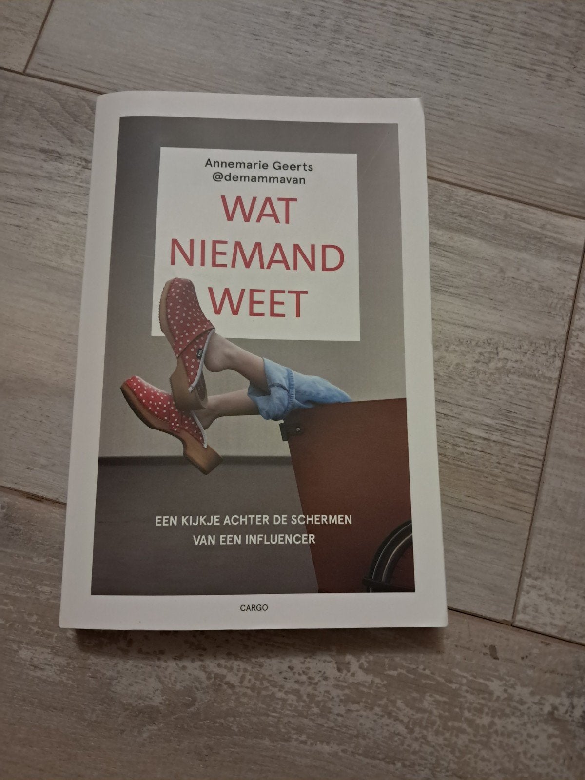 Wat niemand weet. Annemarie Geerts, Ophalen of Verzenden, Gelezen