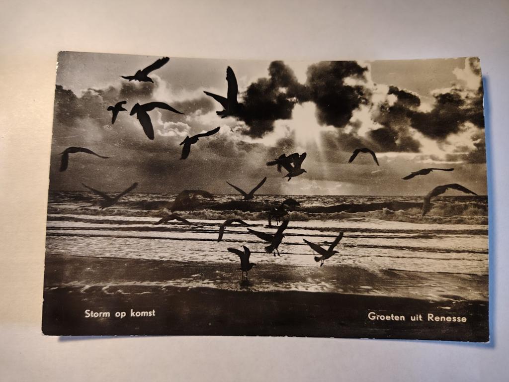 Renesse Storm op komst, Ophalen of Verzenden, 1980 tot heden