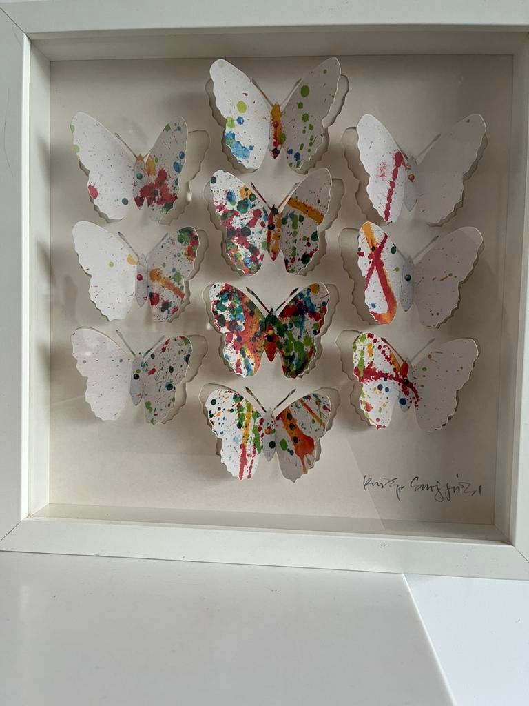 PHILIP SHEFFIELD. —  BUTTERFLY’S. —  SHADOWBOX., Antiek en Kunst, Ophalen of Verzenden