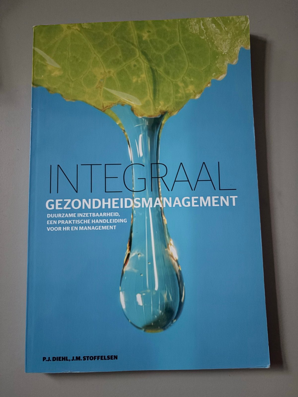 Integraal Gezondheidsmanagement - Duurzame Inzetbaarheid, Ophalen of Verzenden, Gamma, Zo goed als nieuw, HBO