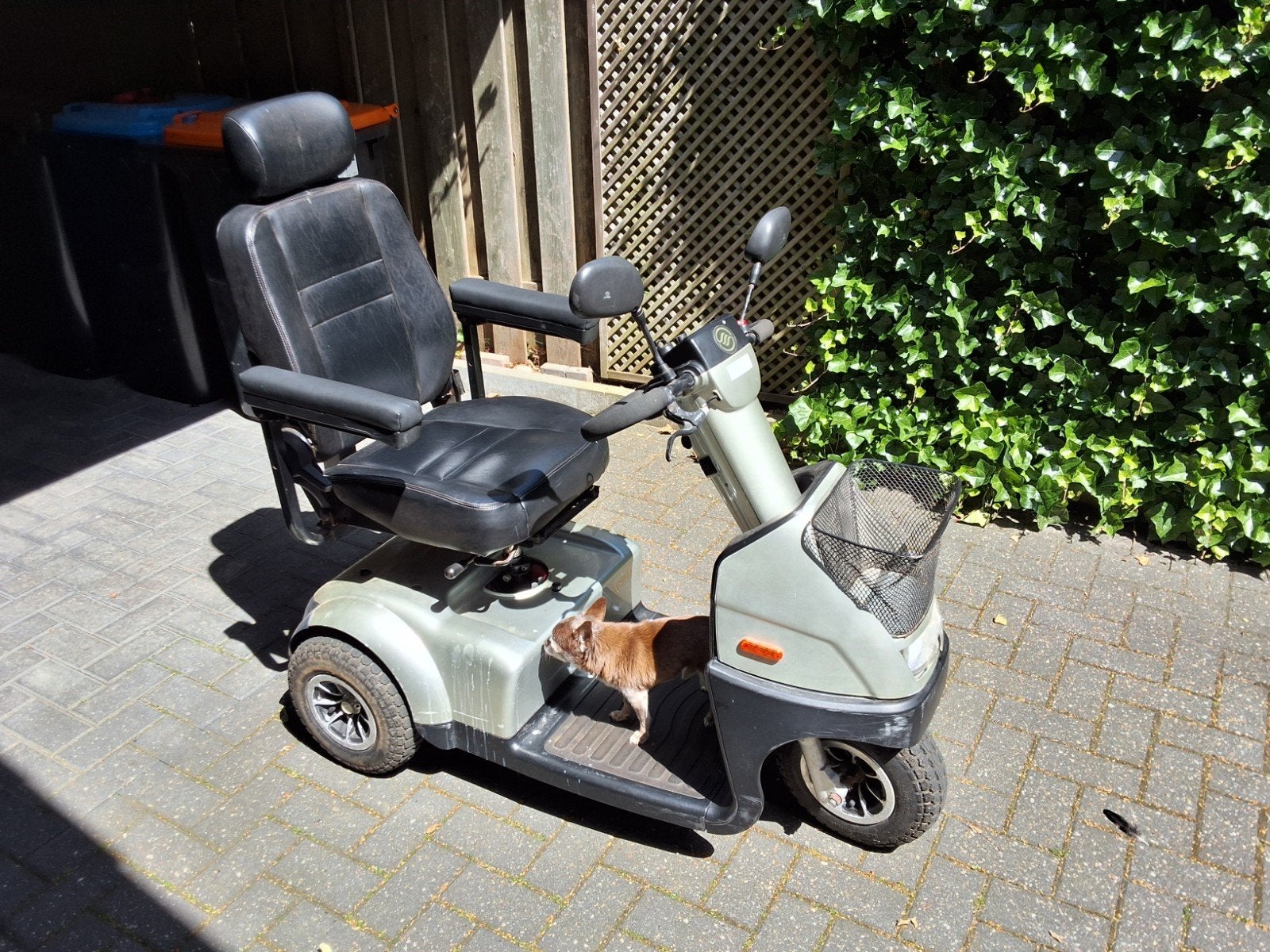 Tweede hands scootmobiel (opknapper), Ophalen, Afikim, Gebruikt, 16 km/u of meer