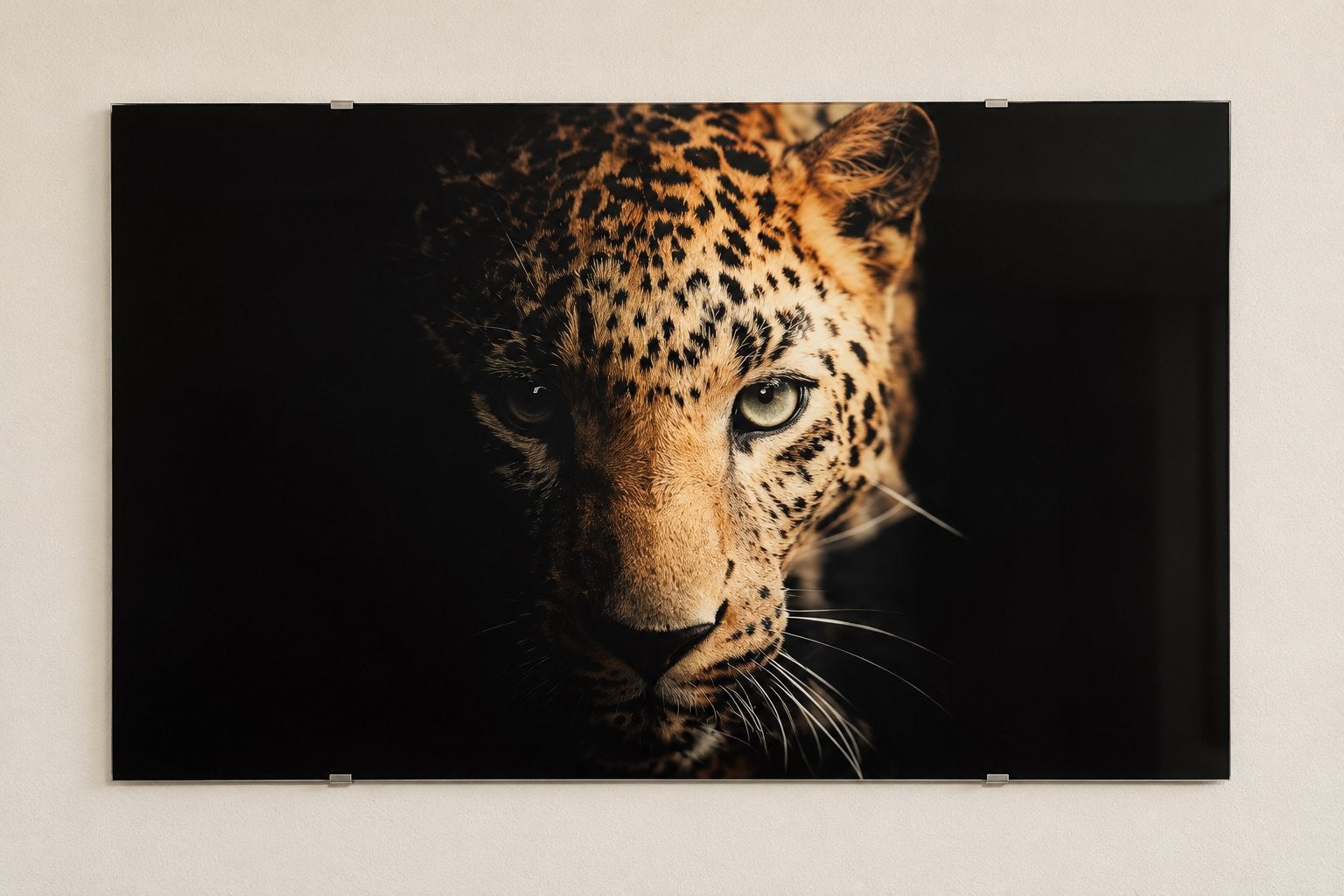 Plexiglas schilderij luipaard, Ophalen, 100 tot 125 cm, 75 – 100, Print