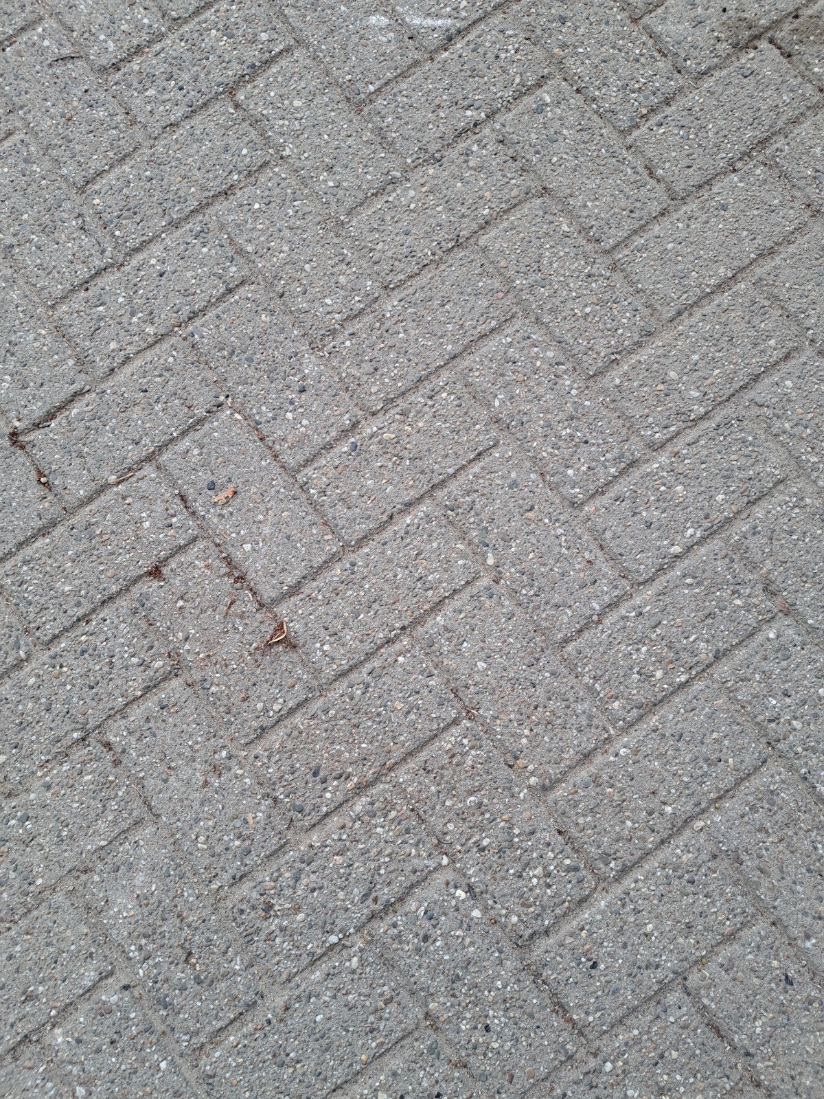 betonklinkers heidekleur, Gebruikt, Klinkers, Ophalen of Verzenden, 10 m² of meer