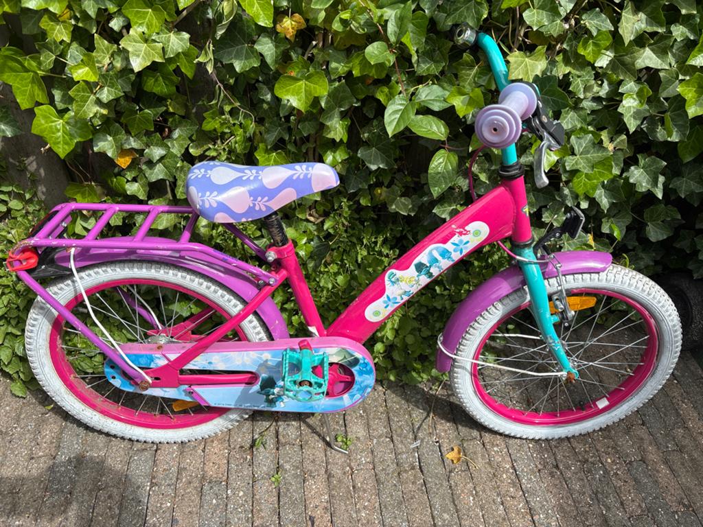 Leuke roze kinderfiets 20 inch - Trolls thema, Ophalen of Verzenden, Gebruikt, 20 inch