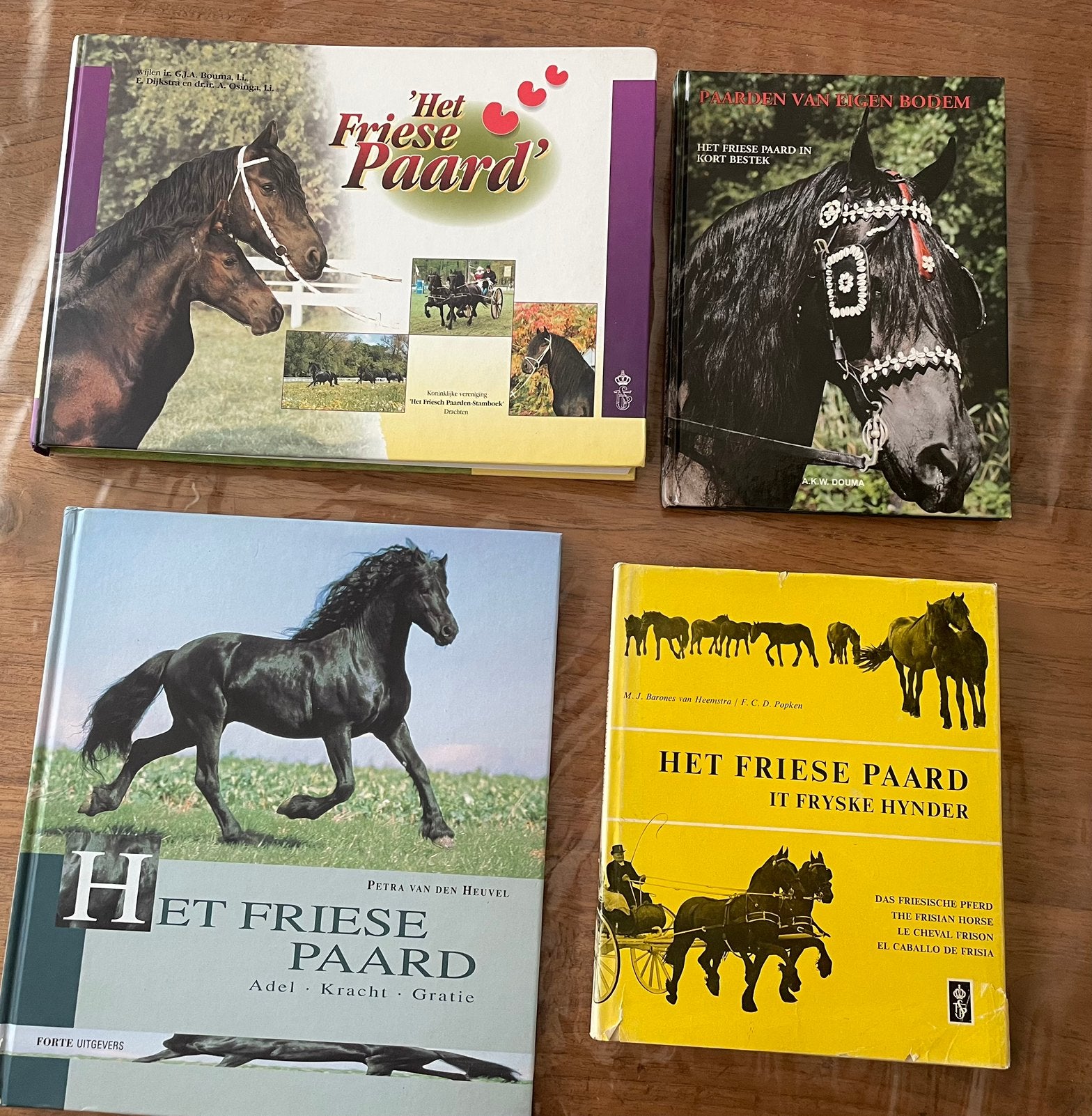 Boeken pakket Friese Paard friese paarden, Ophalen of Verzenden, Zo goed als nieuw, Paarden of Pony's
