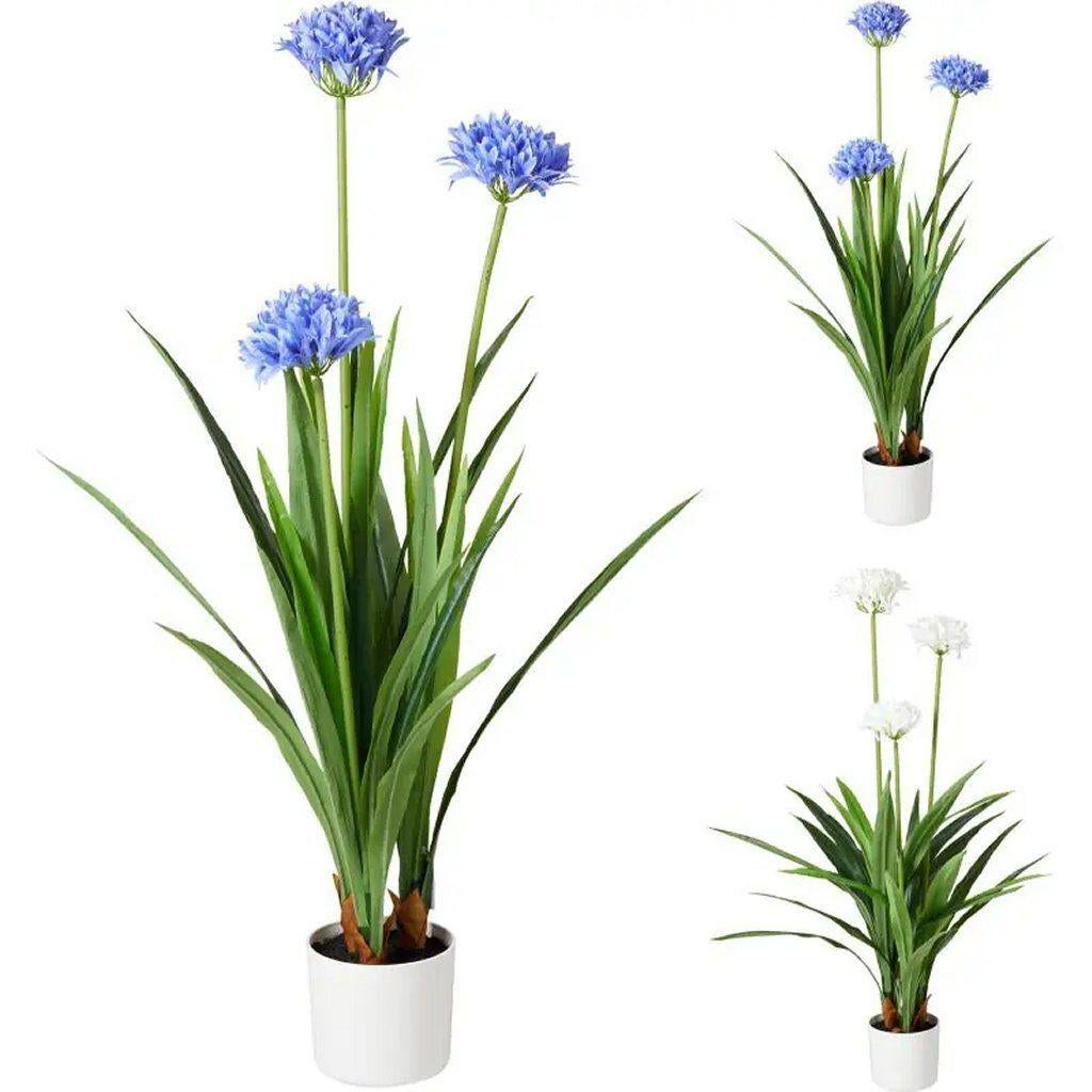 Kunstplant Agapanthus 70x120 cm Blauw/Wit, Ophalen, Binnen, Nieuw, Home & Styling