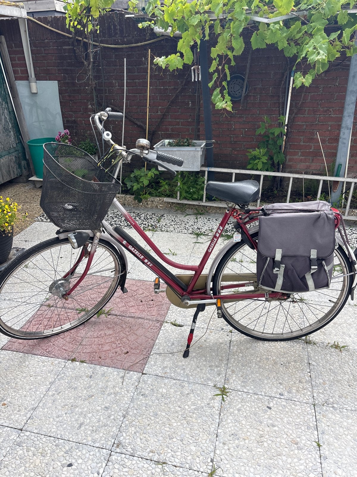 Gazelle fiets met mand en fietstassen, Ophalen, Velgrem, Gazelle, 53 tot 56 cm