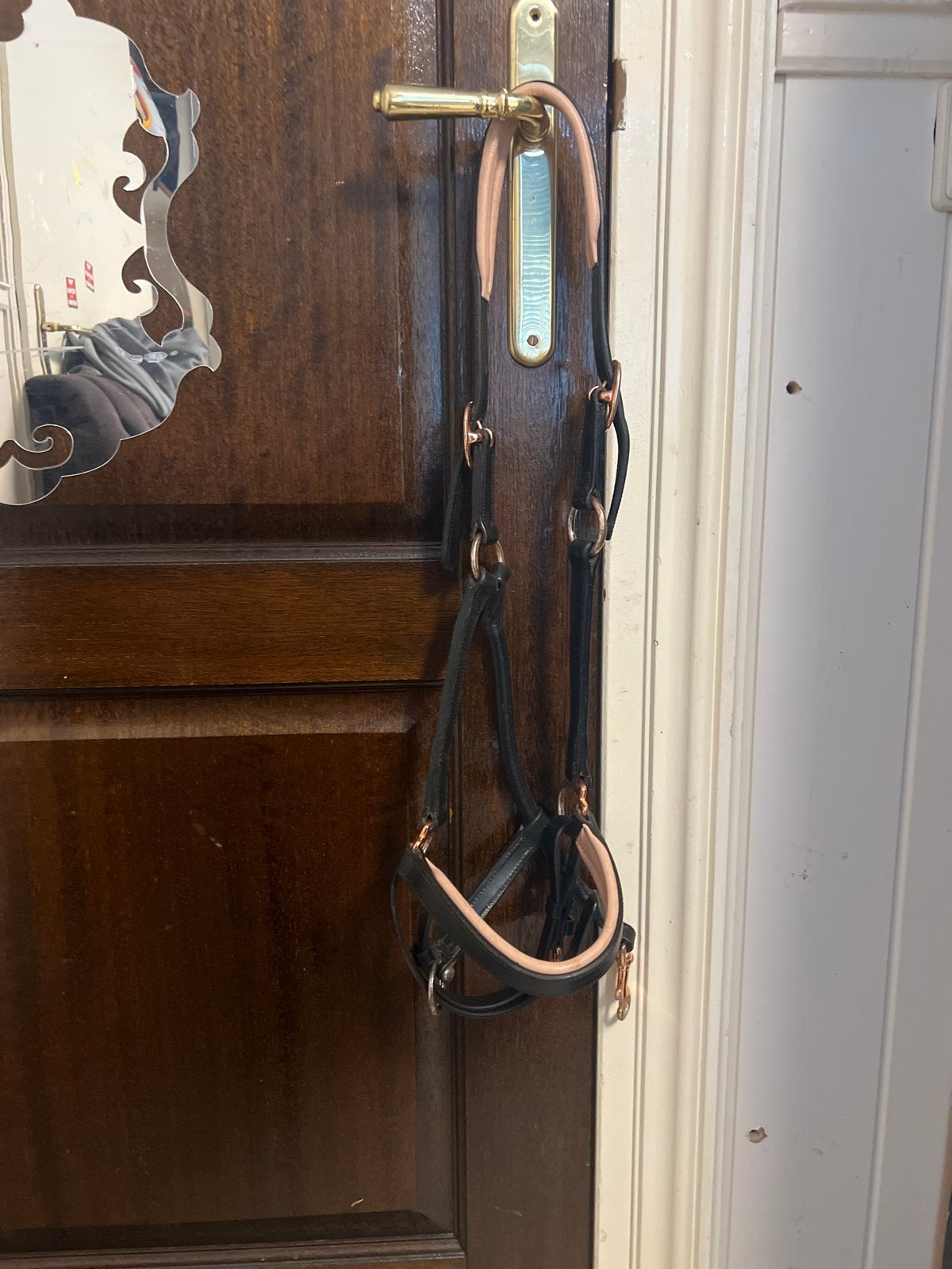 Mooie halster, Dieren en Toebehoren, Ophalen of Verzenden