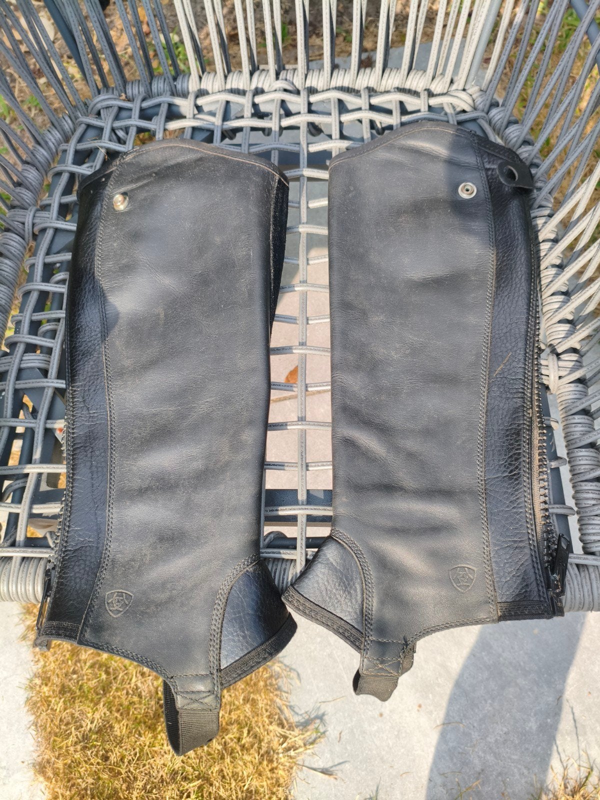 Ariat Junior Concord-Chap zwart mt 17/12.5, Gebruikt, Verzenden, Overige typen, Ariat