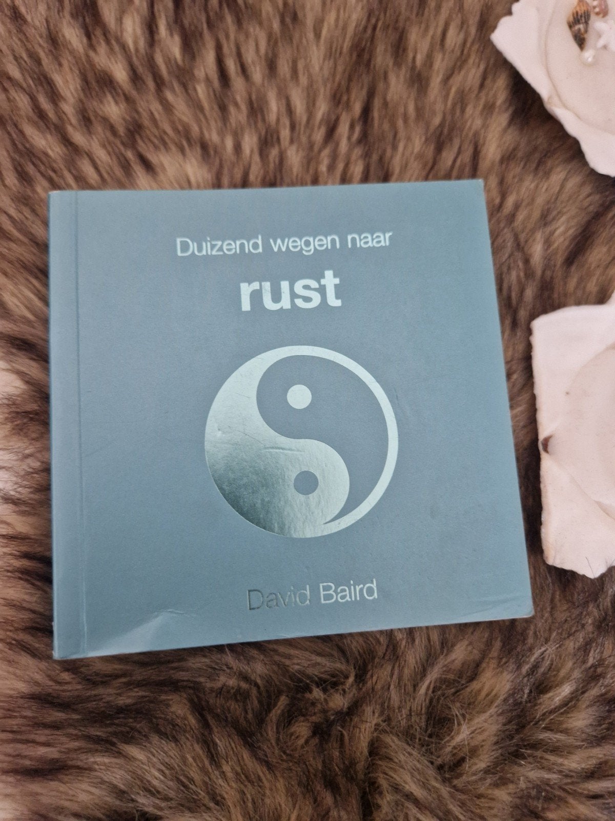 Duizend wegen naar rust - David Baird (ISBN: 9789045301631), Boeken, Ophalen of Verzenden, Spiritualiteit algemeen, Overige typen