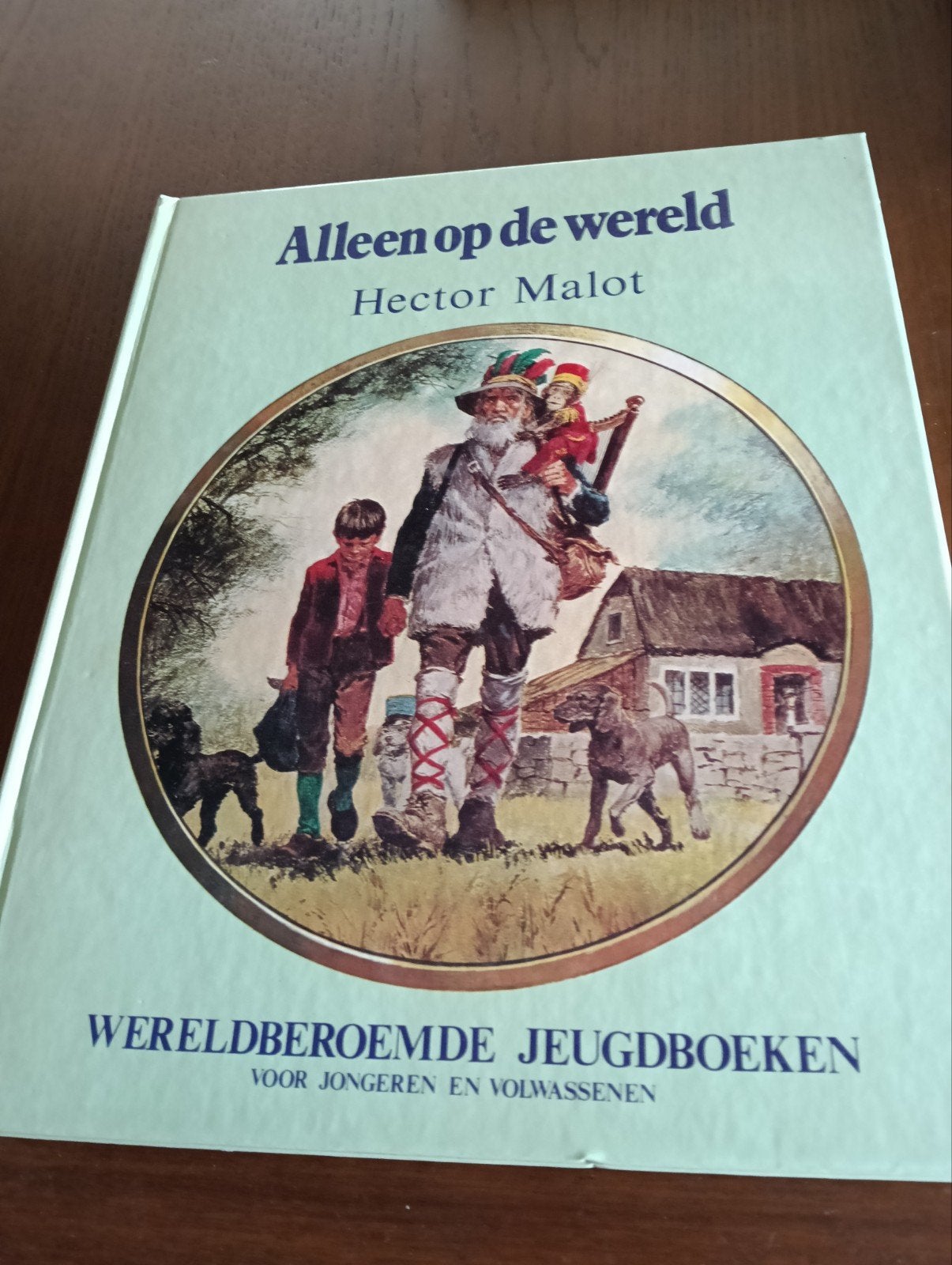 Alleen op de wereld - Hector Malot (puntgaaf), Ophalen of Verzenden, Zo goed als nieuw, Hector Malot