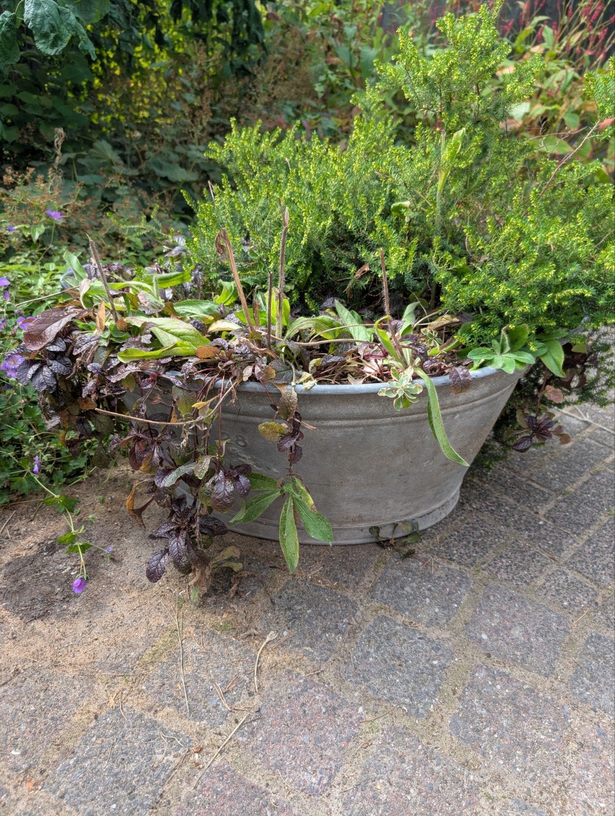 grote zinken teil ( planten er evt. gratis bij), Ophalen, Overige materialen, Balkon, 60 tot 100 cm