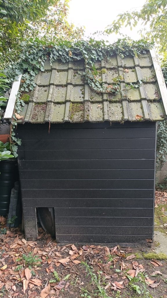 Gratis: Opknap schuurtje / kippenhok, Tuin en Terras, Tuinhuizen, Gebruikt, Schuur, Zonder ramen, Ophalen