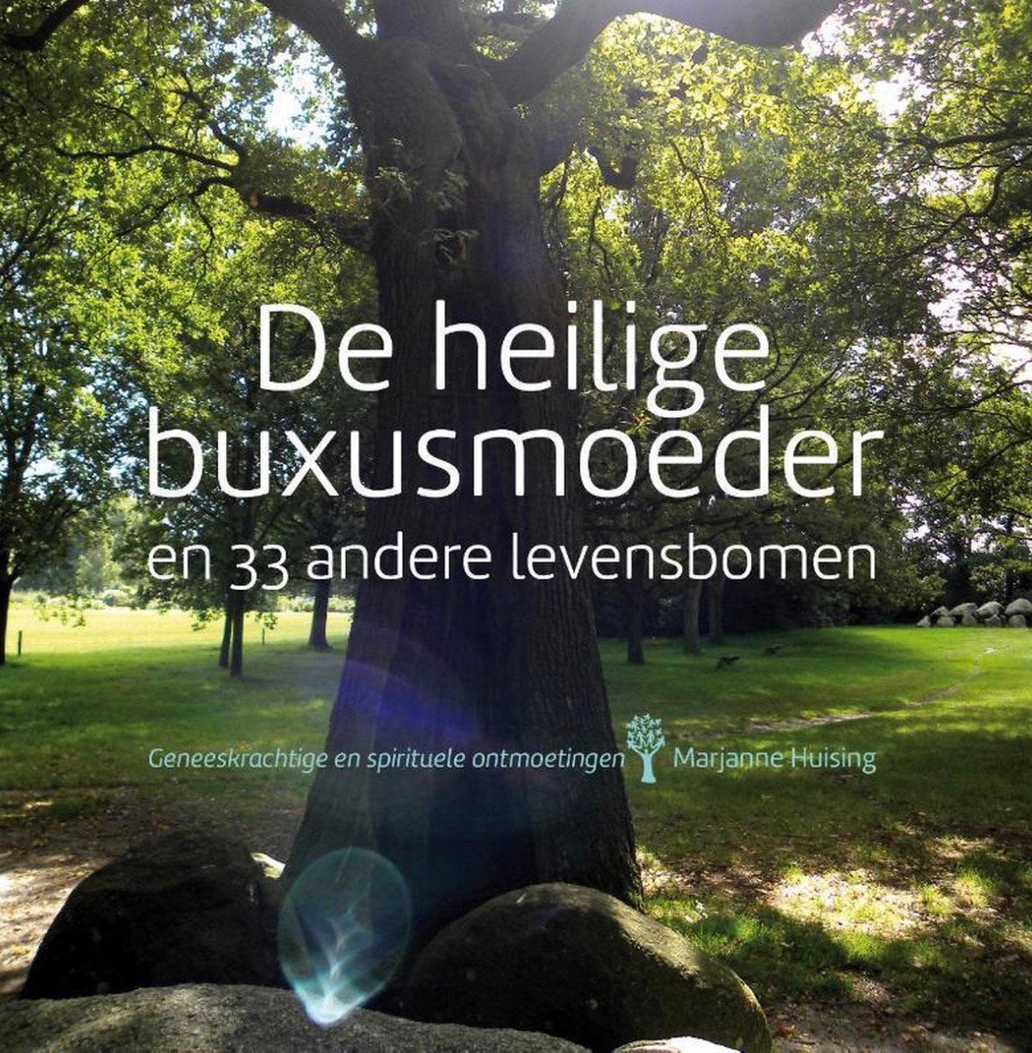 De heilige buxusmoeder Marjanne Huising NIEUWSTAAT, Boeken, Esoterie en Spiritualiteit, Ophalen of Verzenden, Zo goed als nieuw