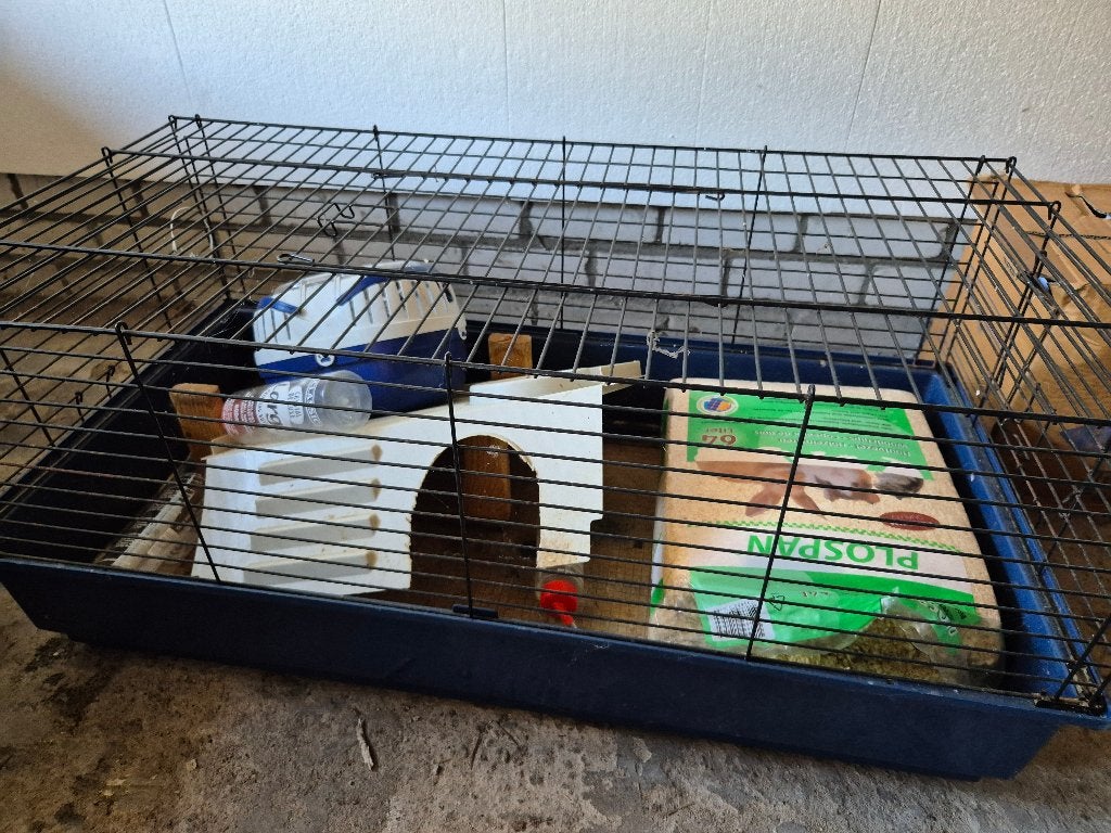 Caviakooi, Kooi, Gebruikt, 75 tot 110 cm, Cavia