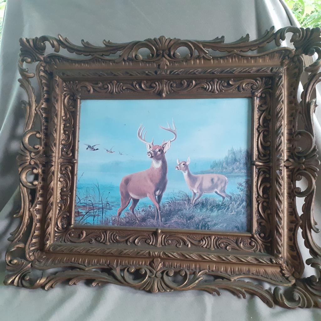 Retro, vintage prent "Edelherten" in barokken  sierlijst, Ophalen of Verzenden
