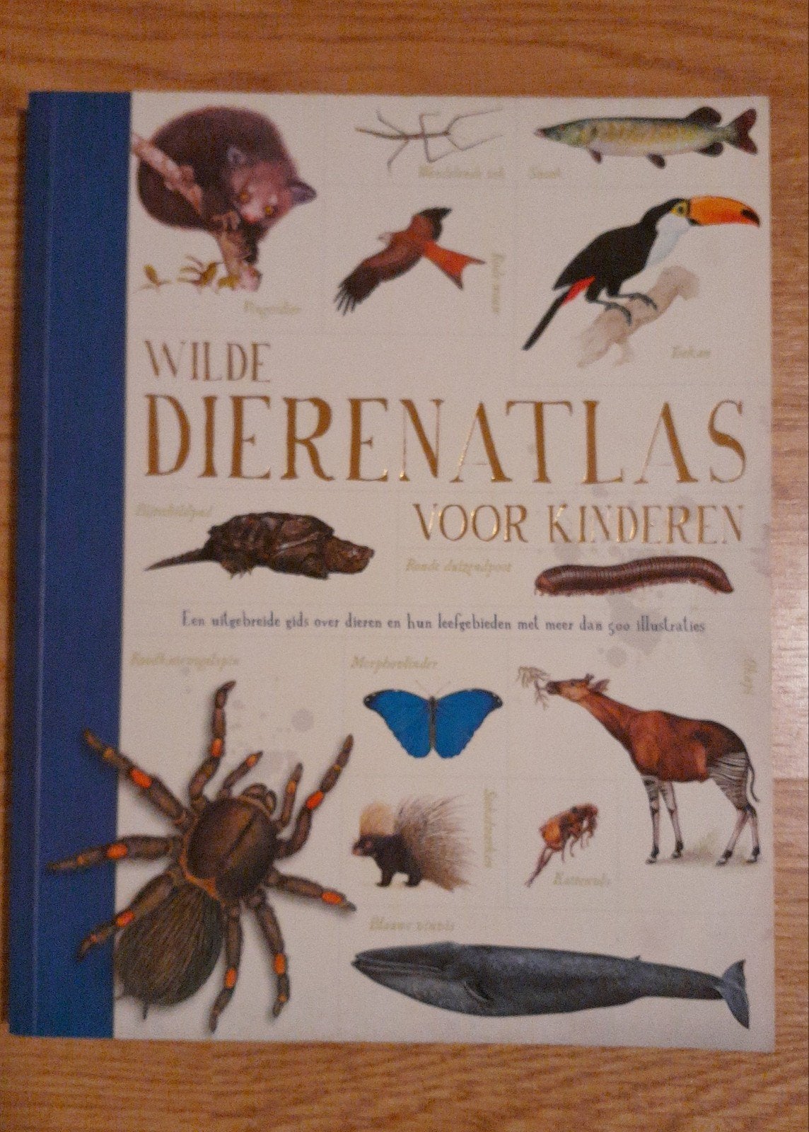 Wilde dieren atlas voor kinderen boek, Ophalen of Verzenden, Zo goed als nieuw, Overige onderwerpen