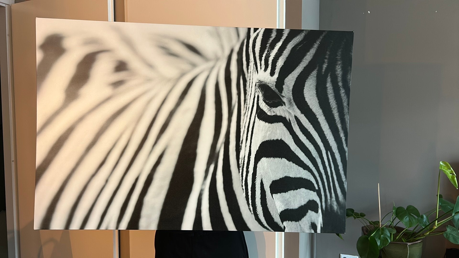 Ikea zebra canvas, Eén persoon, Overige typen