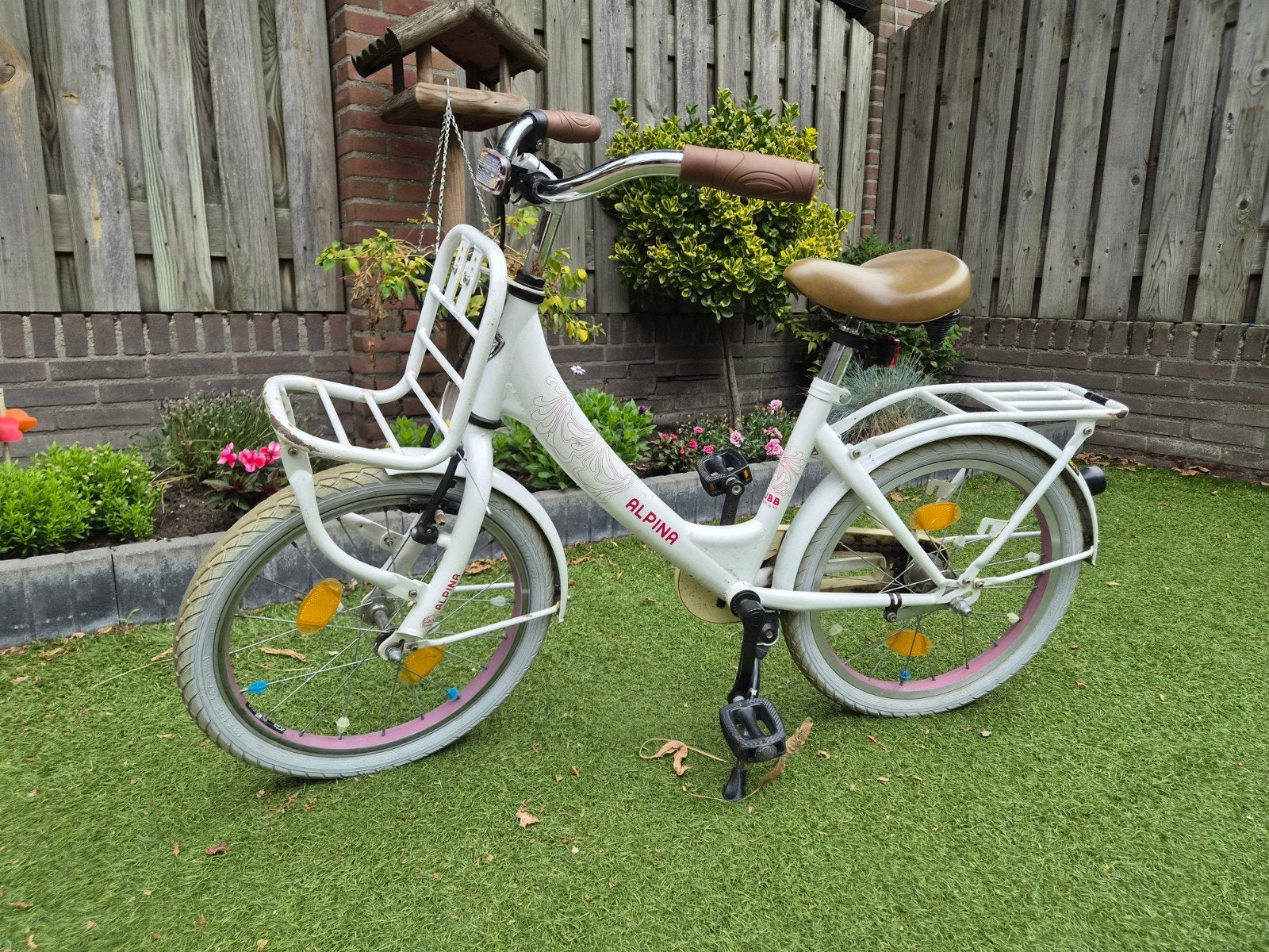 Alpina kinderfiets 20 inch met voordrager, Ophalen of Verzenden