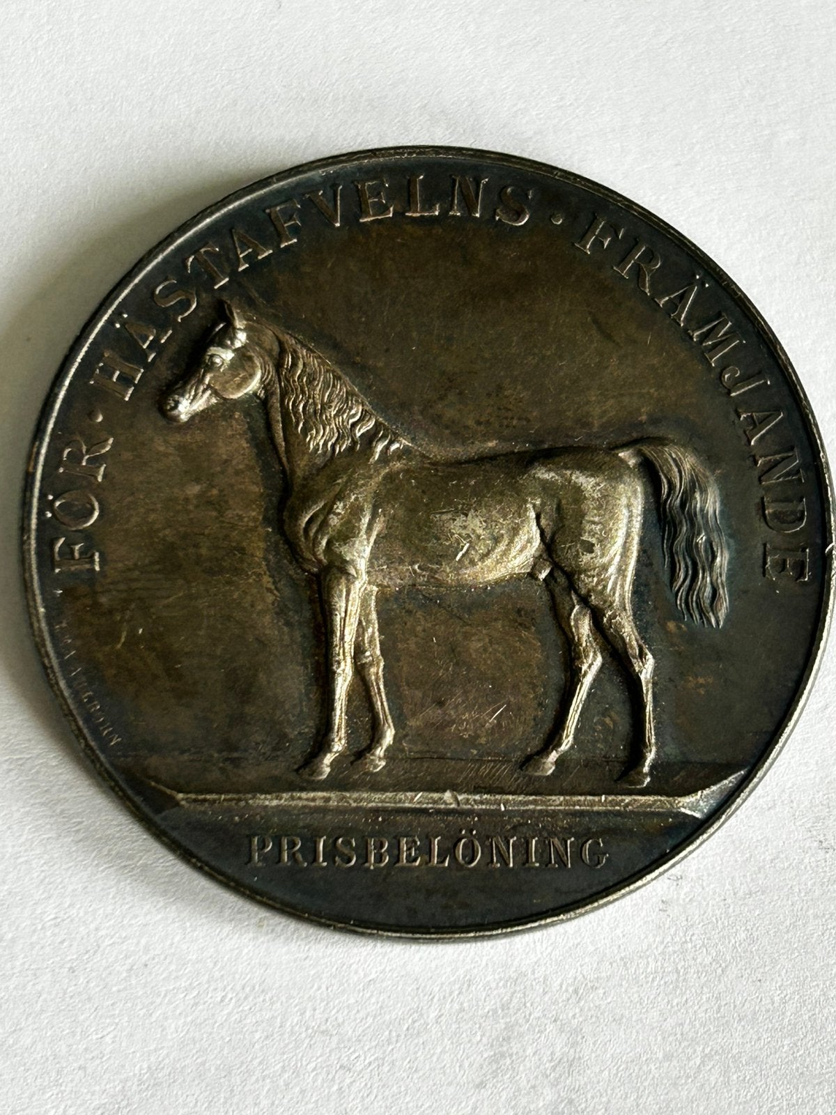 Zware zilveren medaille Oscar II Paardenfokkerij Zweden, Ophalen of Verzenden, Zilver