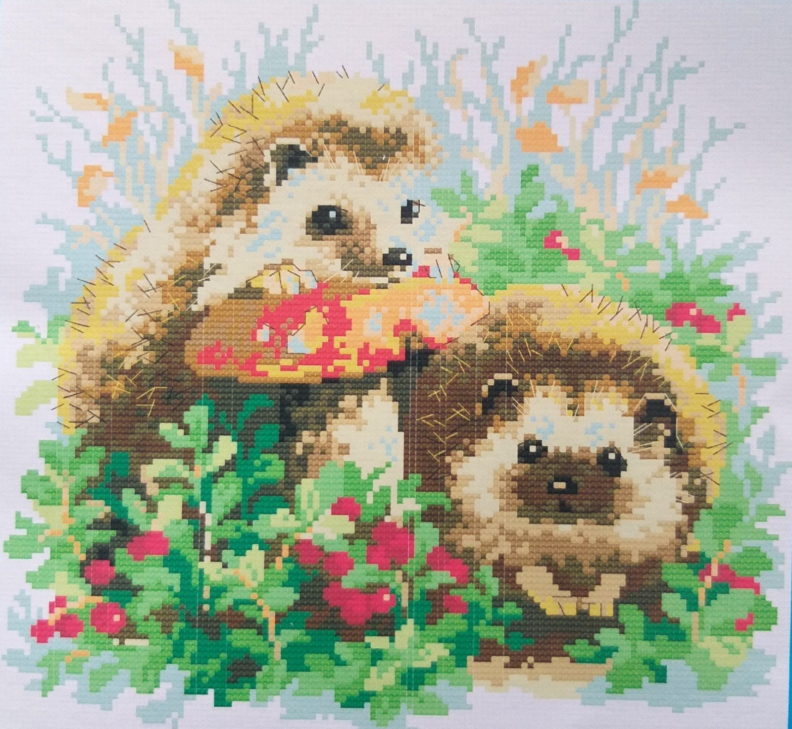 Borduurpakket 2 egels, Hobby en Vrije tijd, Borduren en Borduurmachines, Verzenden, Nieuw, Handborduren, Borduurpakket