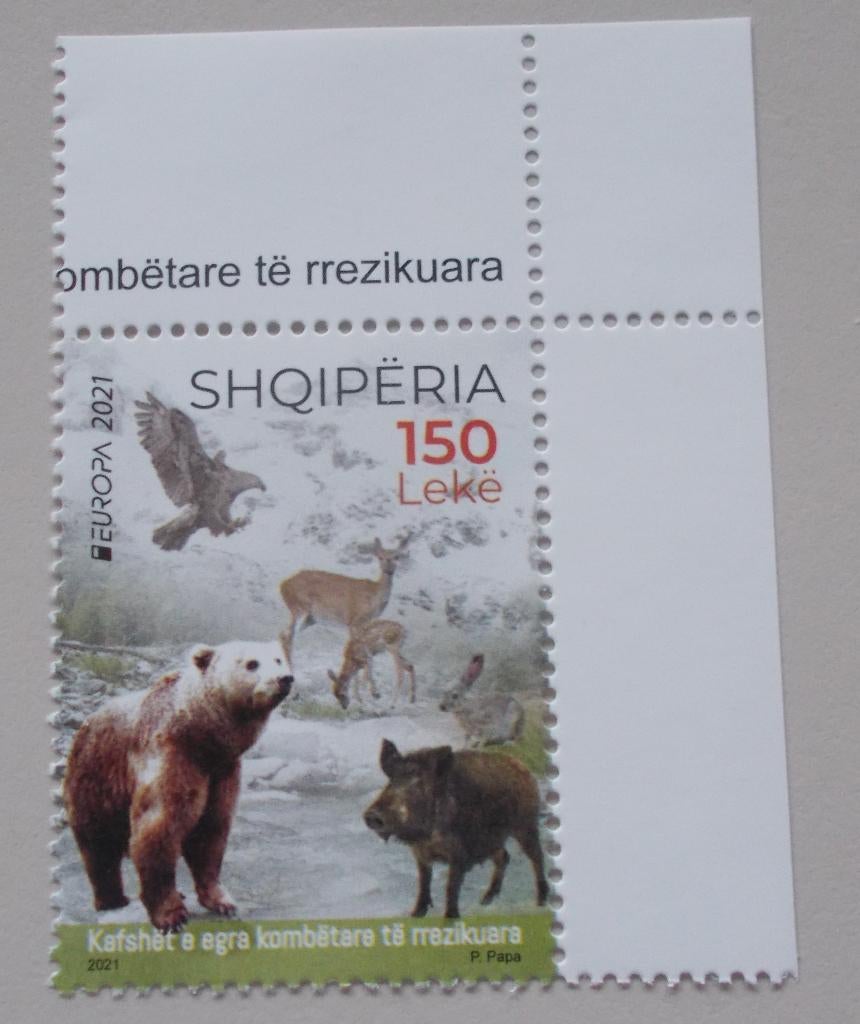 Albanie-Albania 2021 cept mich 3646, Ophalen of Verzenden, Overige landen, Postfris