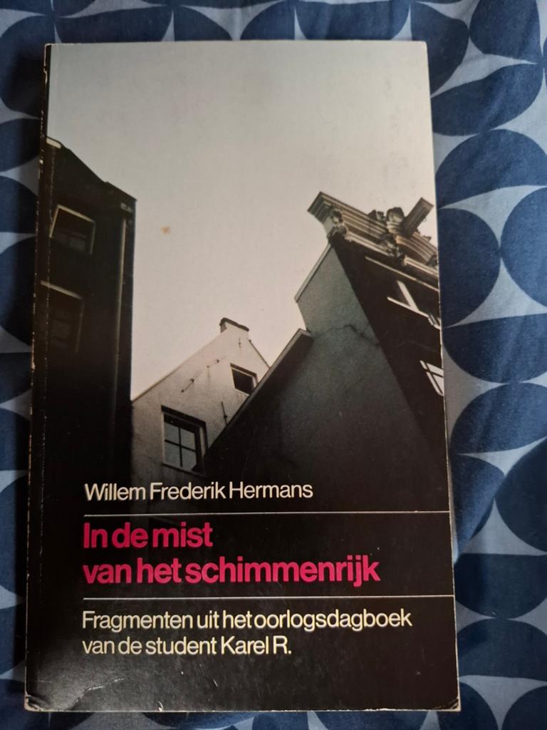 In de mist van het schimmenrijk - W.F. Hermans, Boeken, Literatuur, Ophalen of Verzenden, Gelezen, Willem Frederik Hermans, Nederland
