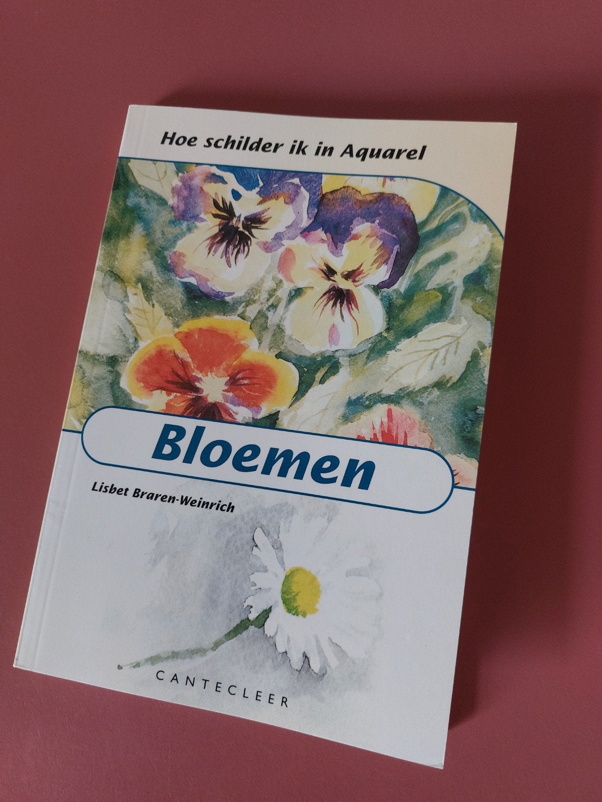 Hoe schilder ik in aquarel, Bloemen., Ophalen of Verzenden, Nieuw